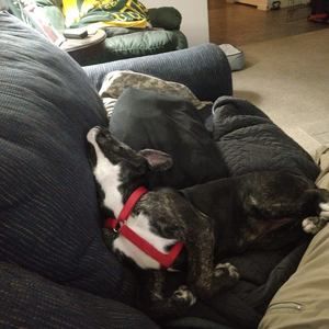 Meet your Posher, Greg